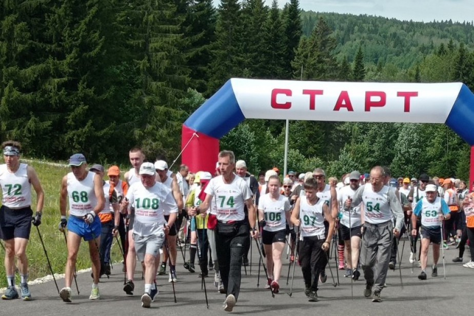 Краевой летний фестиваль по Северной ходьбе "Красный Бор".